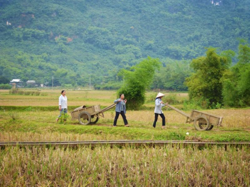 Mai Chau - Moc Bai.jpg